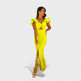 Nuala — Neon Flamenco Dress