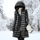 Amelia — Elegant Jacket