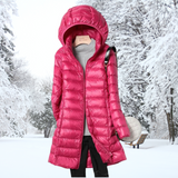 Amelia — Elegant Jacket